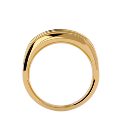Aria Mens Band